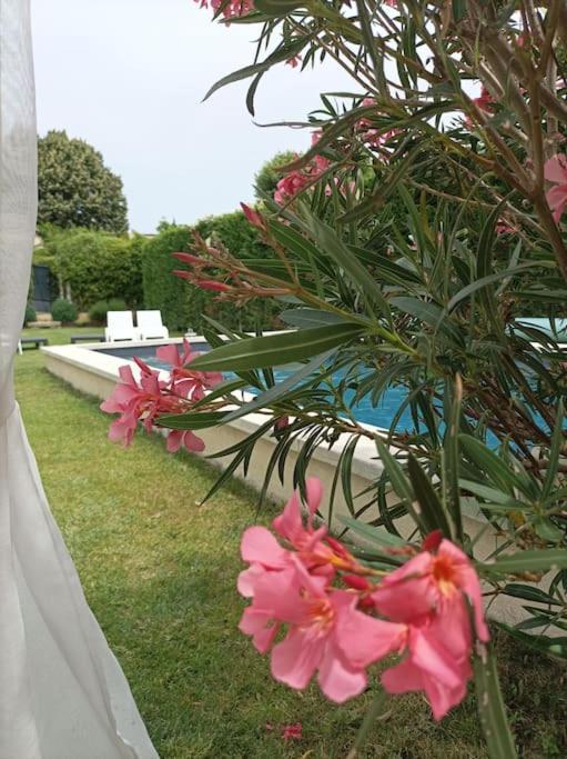 Le Cabanon Tendance Du Luberon Mérindol 외부 사진