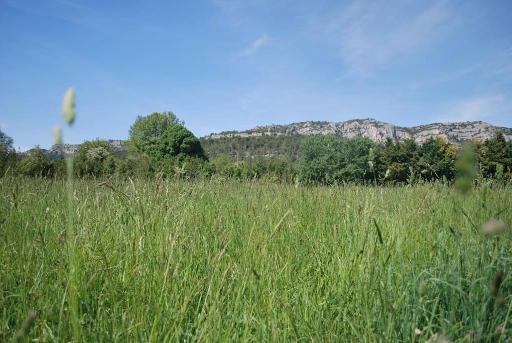 Le Cabanon Tendance Du Luberon Mérindol 외부 사진